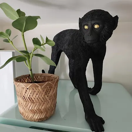 Africando - & Sauna 아파트 Rhisnes