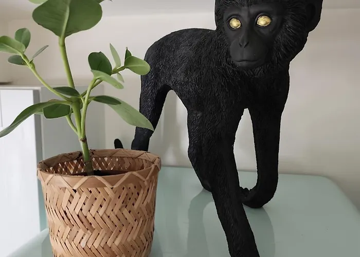 Africando - & Sauna Apartment Rhisnes